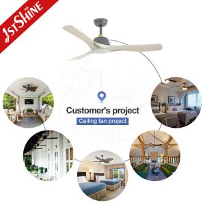 Pure Copper Motor LED Ceiling Fan with Remote Control and App Control Modern