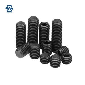 Grade4.8/8.8/10.9/12.9din913/din914/din915/din916 Black Oxidized Flat End