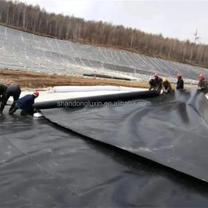 Double Texture HDPE Geomembrane Fish Pond Liner in 1m-8m Width for Performance