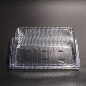 Rectangular Plastic Food Container Leak Proof Plastic Takeaway Containers With