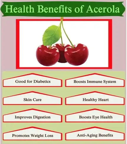 Acerola cherry powder benefits