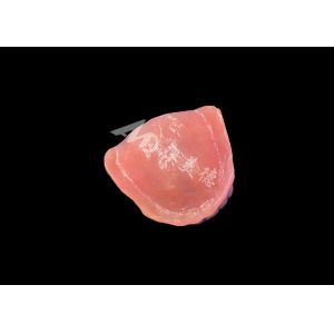 Customized Full Acrylic Denture Easy Maintenance Removable full arch denture