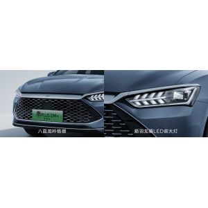 BYD Qin Plus DMI 102km Leading Glory Edition with Maximum Power of 132kw