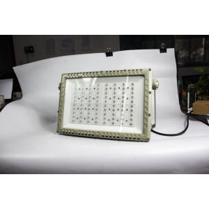 50000H Lifespan ATEX Explosion Proof LED Roadway Light 250W | CNEX Certified