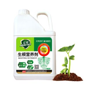 Cheap Potassium Humate 100% Soluble Plant Root Fertilizer For Agriculture for sale