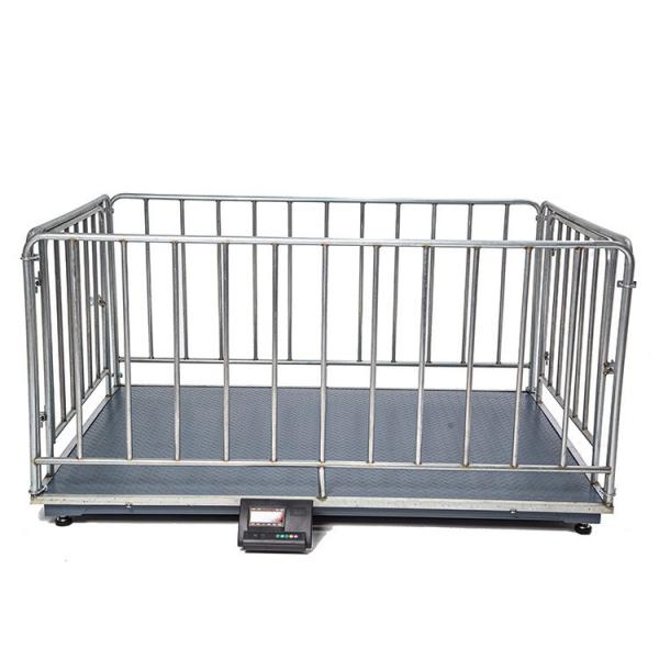 Quality Digital Livestock Weighing Scale 500kg/1000kg Weight Limit Customized OEM Support Fence Scale for Cattle Sheep and Pigs wholesale