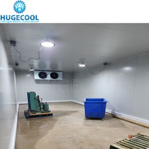 Commercial Cold Storage Room with Freon Refrigerant and Suitable Temperature