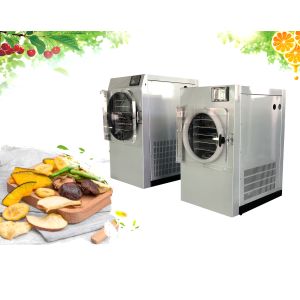 Cheap Electric Heating Home Food Freeze Dryer SUS304 Lyophilization for sale