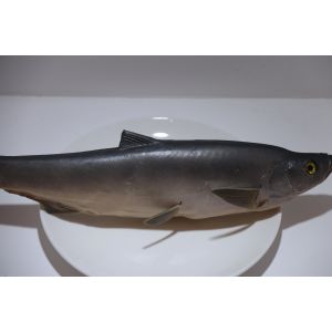 CLU 038 Size Special Color Led Cob For Fresh Fruit Meat Food Vegetable