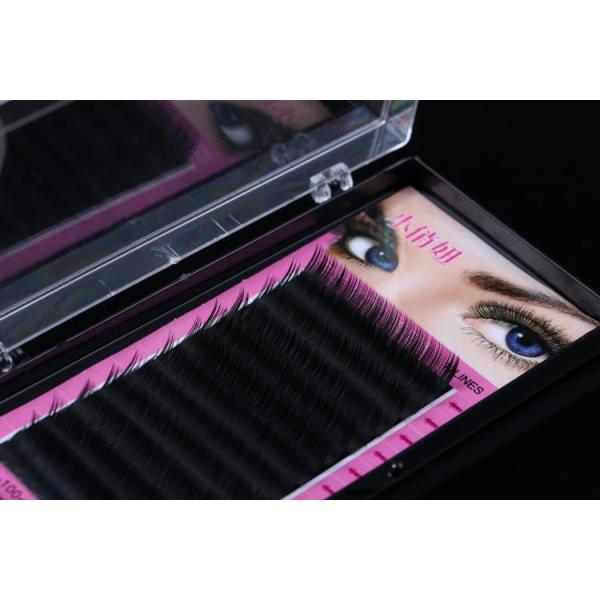 J B C D L Curl Synthetic Mink Eyelash Extensions , Individual Eyelash Extensions Private Label
