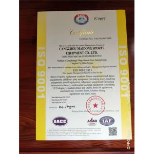 Customized Logo Availabled Mai Dong Gymnastic Training Bar for Gymnastic