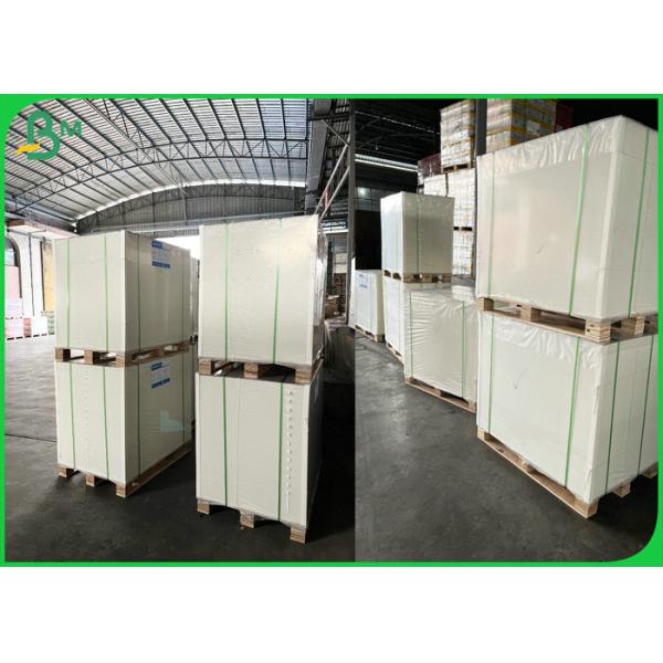 325gsm 350gsm Food Grade FBB White Board For Packaging Box Sheet 325gsm 350gsm Food Grade FBB White Board For Packaging Box Sheet