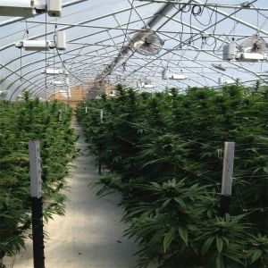 100% Dark Out Shading Automated Light Deprivation System 30-45ft