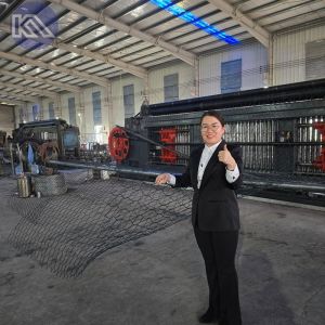 Flexible Pvc Coated Gabion Basket Hexagonal Wire Mesh for Scour and Corrosion