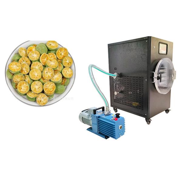 Quality PLC Control 10Kg Home Freeze Dryer -50C To 50C Temperature Range wholesale