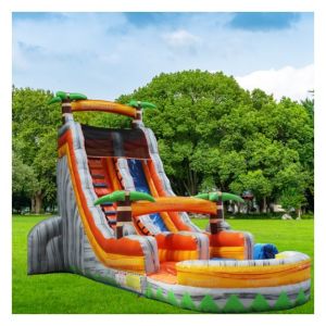 Cheap Customized Inflatable Bounce House Kids Jumper with Large Water Slide and Outdoor Games for sale