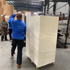 White 140g Paper Cup Sheet 135g Glossy Cardboard Sheets Eco Friendly