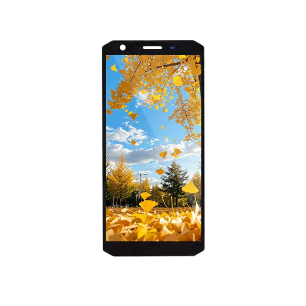 Quality 5.45 Inch TFT LCD Display Module 720x1440 MIPI Interface wholesale