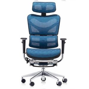 New Design Executive China Ergonomic Mesh Chair with Footrest