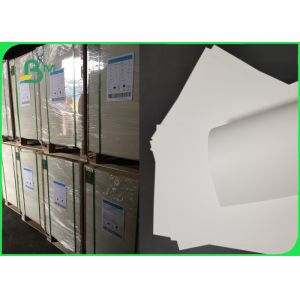 Anti Tear 180um 200um Printed Synthetic Paper For Adhesive Lable Waterproof