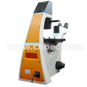 300X Laboratory Phase Contrast Microscope Halogen Lamp , Rohs CE A19.0205