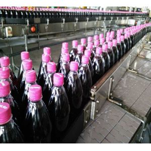 PET bottle fresh beer filling and capping machine manufacture in China