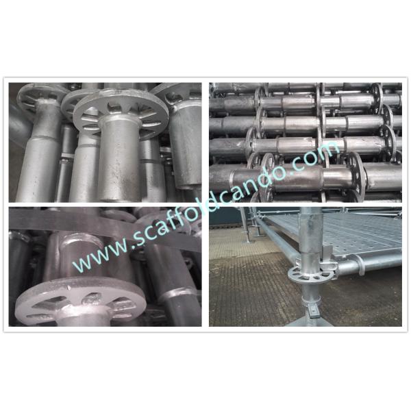 Base colloar basic socket 300,280,240,200mmL for scaffolding Ringlock system with Hot dipped galvanized finish