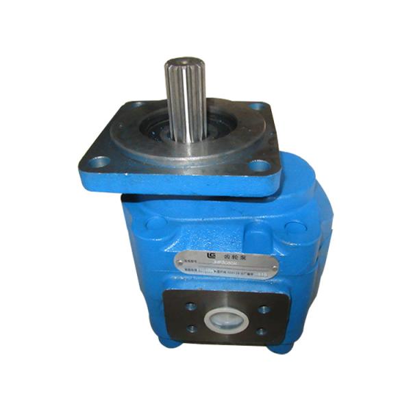 Quality Genuine Quality Wheel Loader Spare Part 14Teeth R 11C1060 Gear Pump For Liugong wholesale