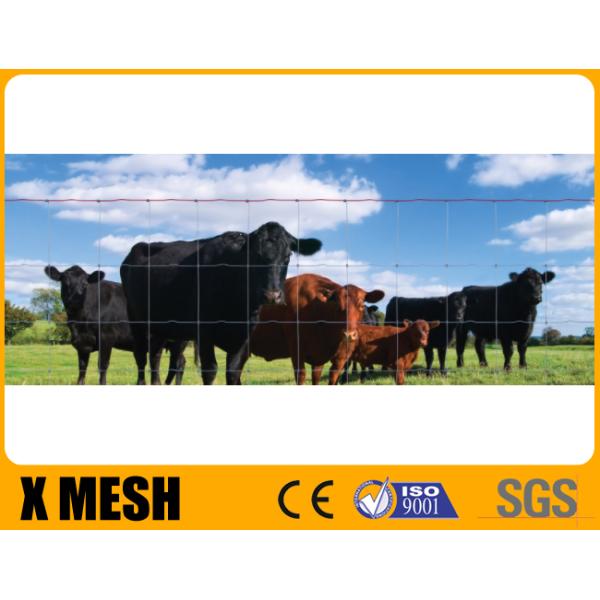 PVC Coated Metal Farm Fence 50m