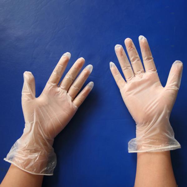 Quality Disposable PVC Vinyl Hand Gloves For Medical Exam High Isolation Performance wholesale