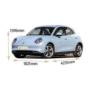 2024 Good Cat Used Electric Car with 360° Rear Camera and Automatic Air