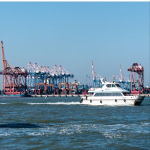 Door To Door International Sea Freight Forwarding DDP From China To Australia