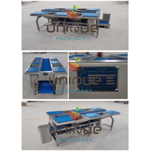 Stainless Steel Vegetable Sorting Table and Conveyors Vegetable Preparation