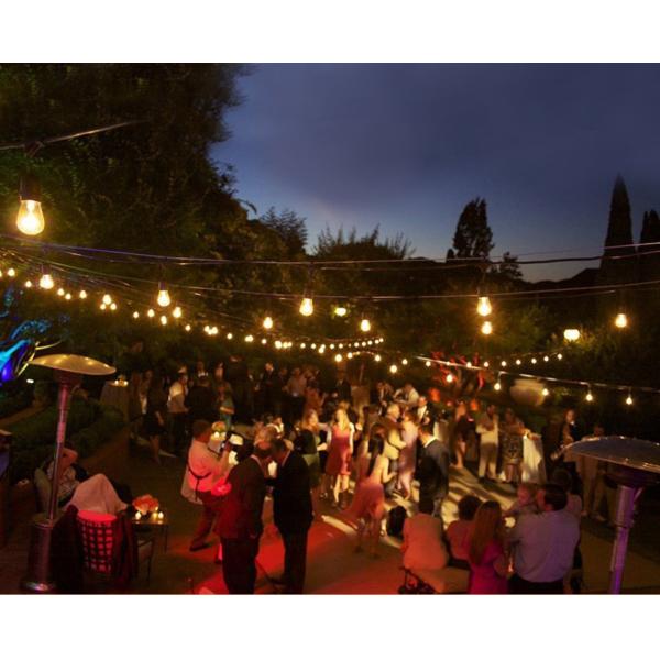 12 Bulbs Commercial Grade LED String Lights