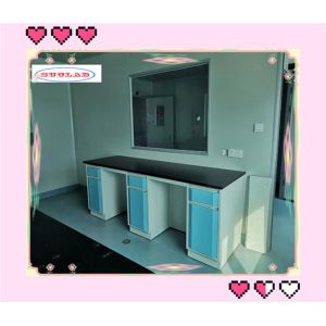 Foldable Lab Caseworks Durable Reagent Racks With Adjustable Glass Shelf In 40*60*100mm Frame