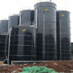 Anaerobic Reactor Biogas Plant With Reasonable Design And Construction