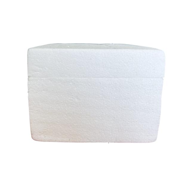 EPS material packaging custom fragile packaging protection custom foam packaging