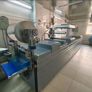 Automatic Bean Bag Production Line Corn Thermoforming Vacuum Packing Machine
