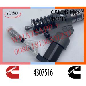 Diesel QSM11 ISM11 M11 Engine Fuel Injector 4307516 4061851