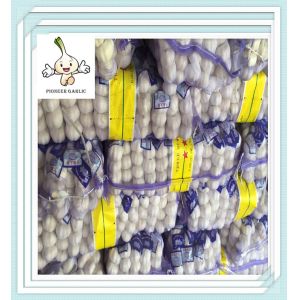 Red Garlic 5.5cm In 10kg/Carton Loosely Jinxiang Crop Normal White Garlic Low Price