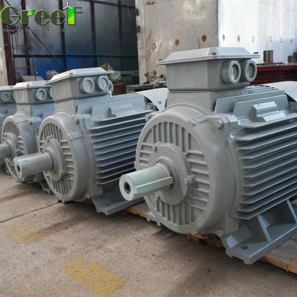 Quality IP54 Magnet Powered Generator Varies Power Output Depending On Size And Design Free Energy With Copper Stator Material wholesale