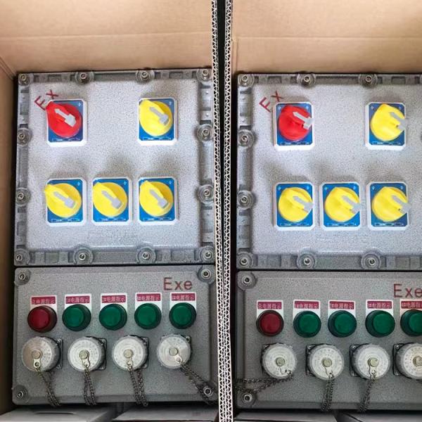 IIC Explosion-Proof Lighting Power Distribution Box Waterproof Power Control