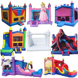 Customized Color Inflatable Bouncing House for Party Rental Age Range 14 Years