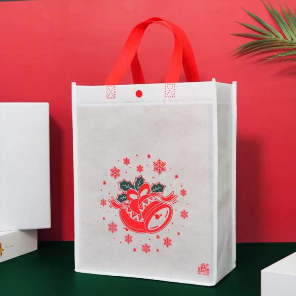 Promotion Non Woven Fabric Gift Bag Folding Laminated Custom Logo