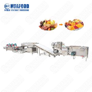 Easy Operation Industry Ultrasonic Fruit Processing Line Mushroom Washing
