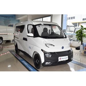 5 Cubic Meters 2 Tons 260km Range No Sunroof The 2024 Small Energy Van with TPMS