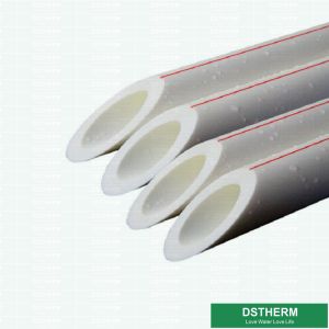 PPR Polypropylene Pipe ISO 9001 DIN 8077/8078 Polypropylene Color customization