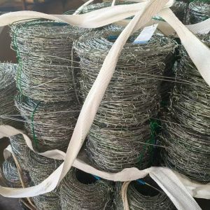 Woven SS Wire Mesh Screen Stainless Steel Netting For Industrial Filtering