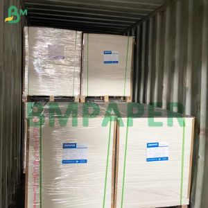 Single Side Coated Greaseproof Paper Board With Uncoated White Back 275gsm