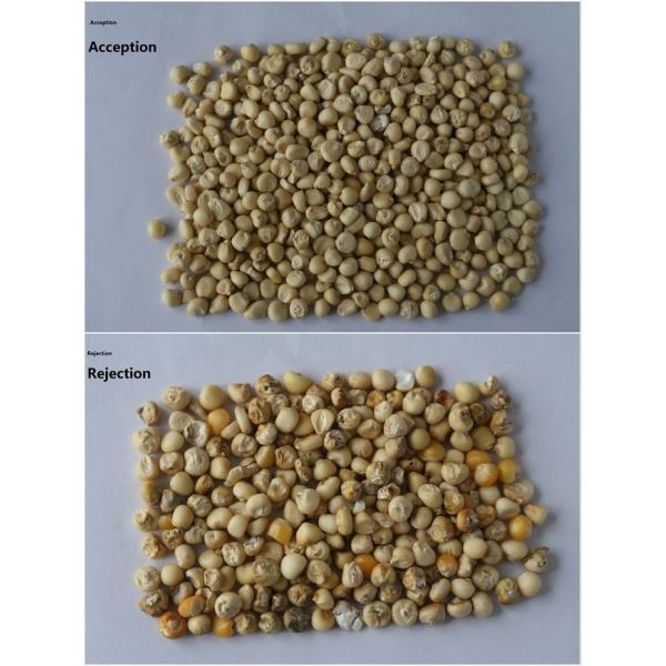 Kernel / Corn / Seed Colour Separation Machine With High Sorting Accuracy